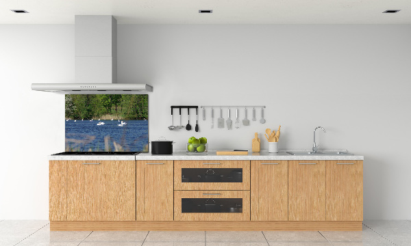 Cooker splashback White swans