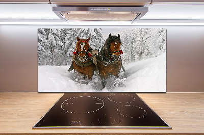 Cooker splashback Sleigh ride