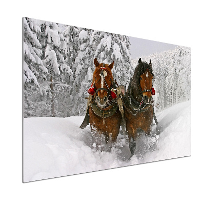 Cooker splashback Sleigh ride