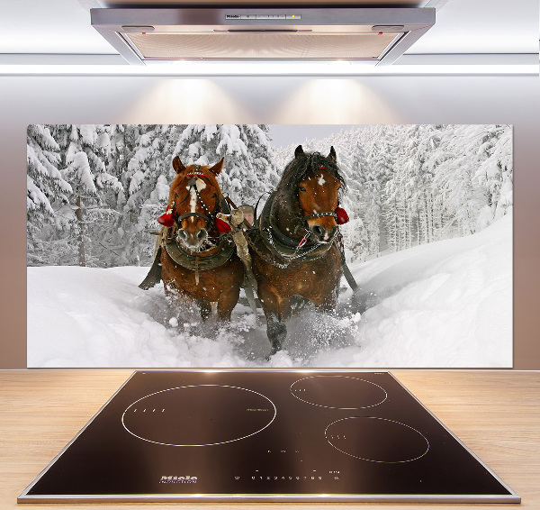 Cooker splashback Sleigh ride