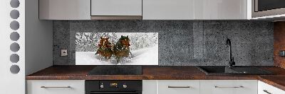 Cooker splashback Sleigh ride