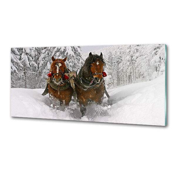 Cooker splashback Sleigh ride