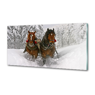 Cooker splashback Sleigh ride