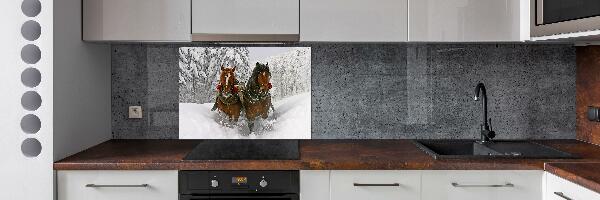 Cooker splashback Sleigh ride