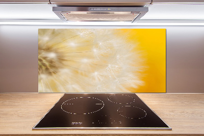 Cooker splashback Dandelion