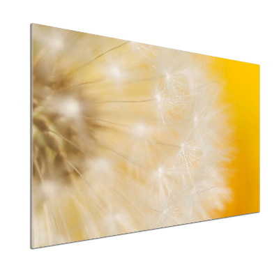 Cooker splashback Dandelion