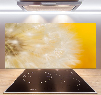 Cooker splashback Dandelion