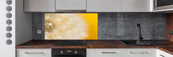 Cooker splashback Dandelion