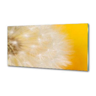 Cooker splashback Dandelion