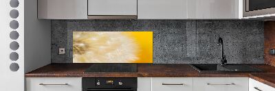 Cooker splashback Dandelion