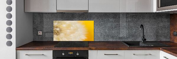 Cooker splashback Dandelion