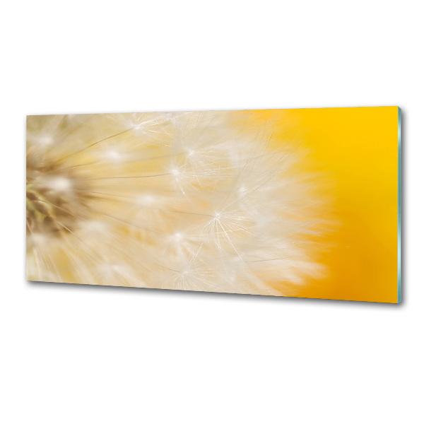 Cooker splashback Dandelion