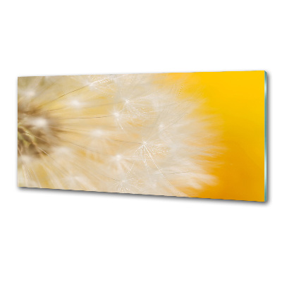 Cooker splashback Dandelion