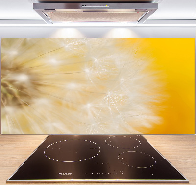 Cooker splashback Dandelion