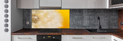 Cooker splashback Dandelion