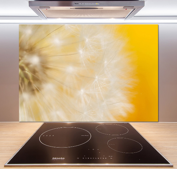 Cooker splashback Dandelion