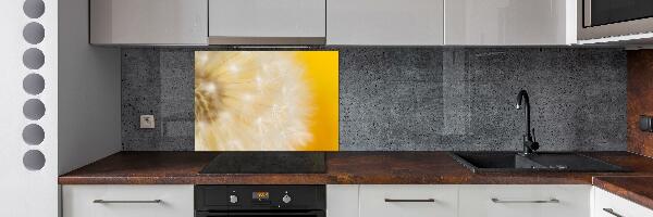 Cooker splashback Dandelion