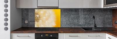 Cooker splashback Dandelion