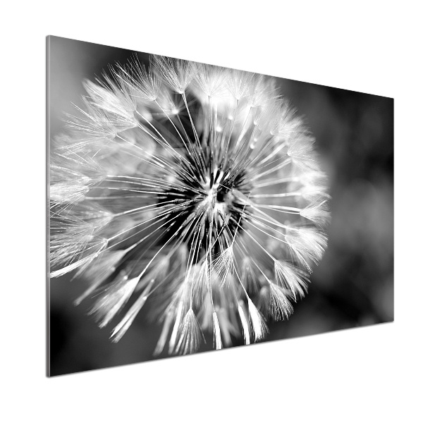 Cooker splashback dandelions