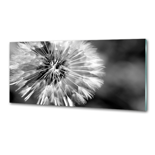 Cooker splashback dandelions