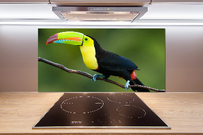 Cooker splashback Toucan