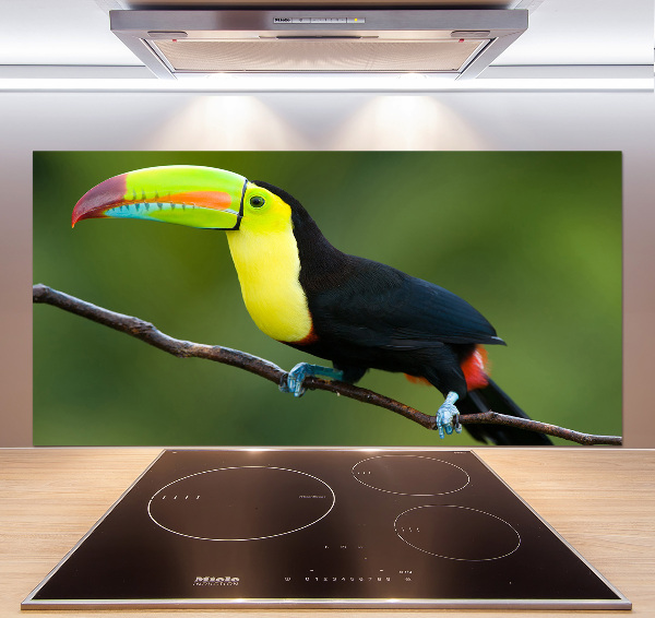 Cooker splashback Toucan