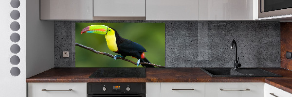 Cooker splashback Toucan