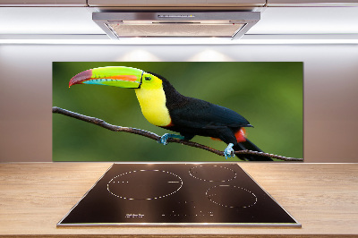 Cooker splashback Toucan