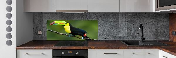 Cooker splashback Toucan