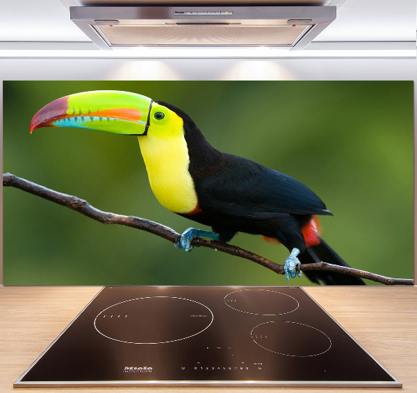 Cooker splashback Toucan