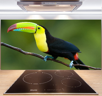 Cooker splashback Toucan