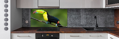 Cooker splashback Toucan