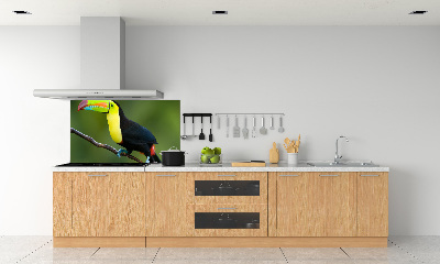 Cooker splashback Toucan