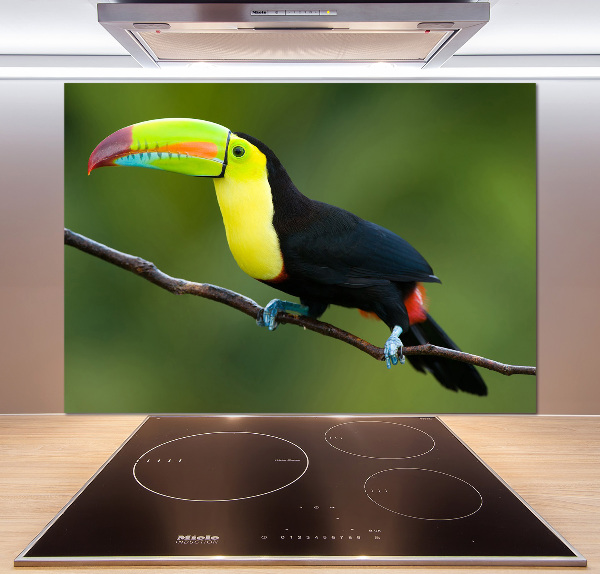 Cooker splashback Toucan