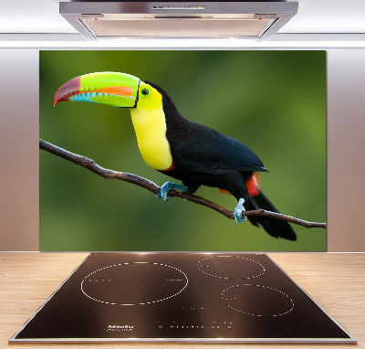 Cooker splashback Toucan