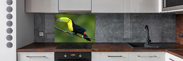 Cooker splashback Toucan