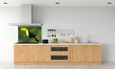 Cooker splashback Toucan