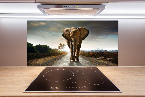 Cooker splashback Walking the elephant