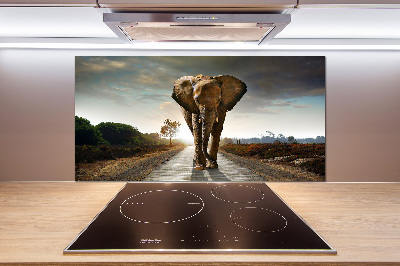 Cooker splashback Walking the elephant