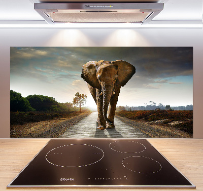 Cooker splashback Walking the elephant