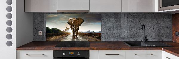 Cooker splashback Walking the elephant