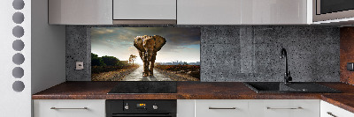 Cooker splashback Walking the elephant