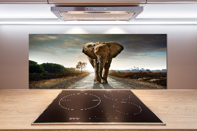 Cooker splashback Walking the elephant