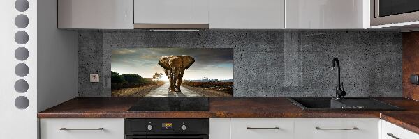 Cooker splashback Walking the elephant