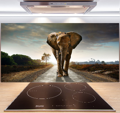 Cooker splashback Walking the elephant