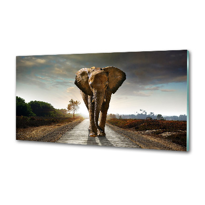 Cooker splashback Walking the elephant