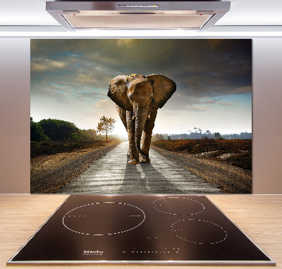 Cooker splashback Walking the elephant