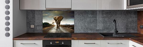 Cooker splashback Walking the elephant