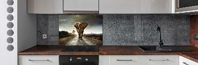 Cooker splashback Walking the elephant