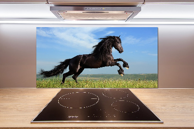 Cooker splashback Black horse in the meadow